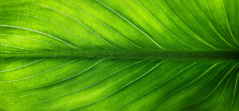 DIY Eco-Friendly Gifts