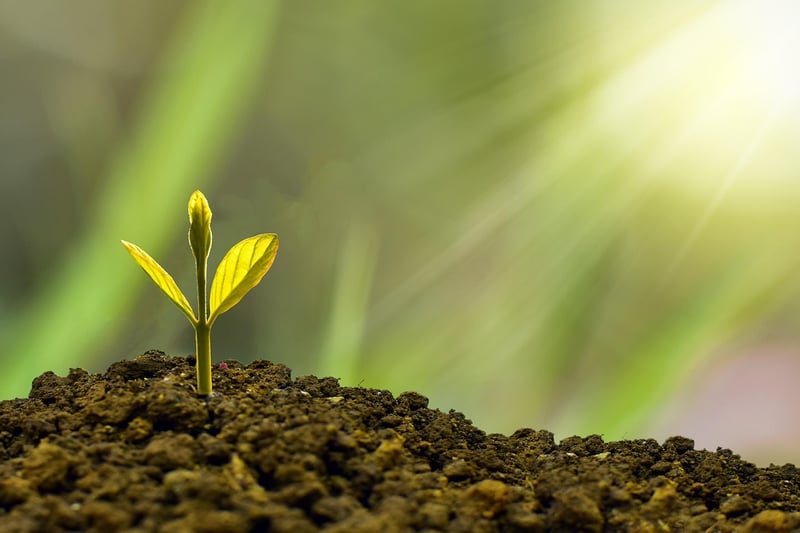 Repurpose for Sustainability
